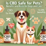 Is CBD Safe for Pets